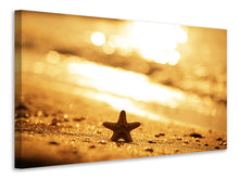 Load image into Gallery viewer, Canvas print The Starfish

