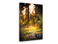 Canvas print The Forest In The Background