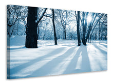 Load image into Gallery viewer, Canvas print The Forest Without Tracks In The Snow
