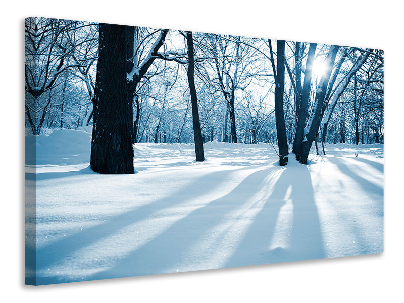 Canvas print The Forest Without Tracks In The Snow