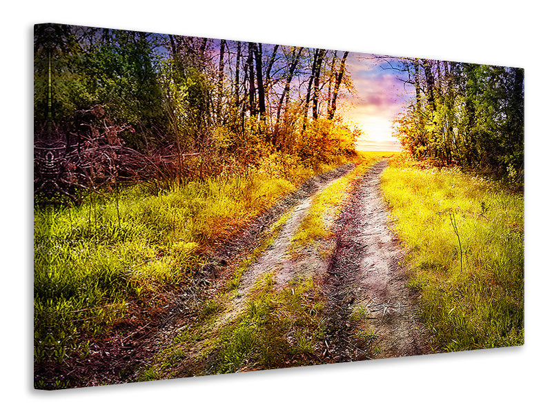 Canvas print The Forest Path