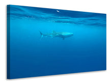 Load image into Gallery viewer, Canvas print The Whale Shark
