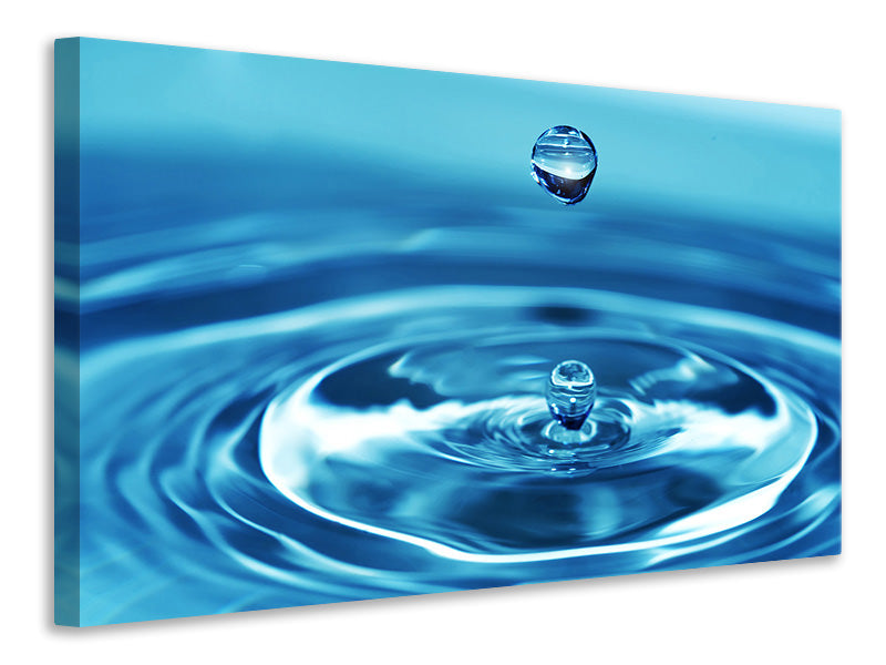 Canvas print The Water Drops