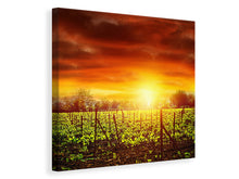 Load image into Gallery viewer, Canvas print The Vineyard At Sunset
