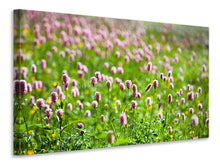 Load image into Gallery viewer, Canvas print Clover
