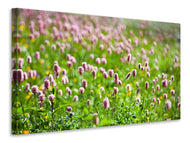 Canvas print Clover