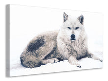 Load image into Gallery viewer, Canvas print The Wolf
