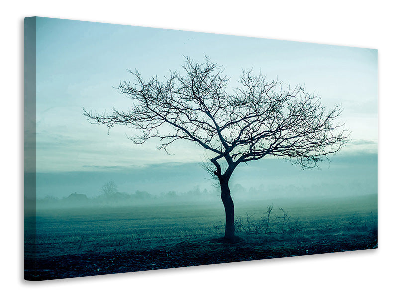 Canvas print The Magic Tree