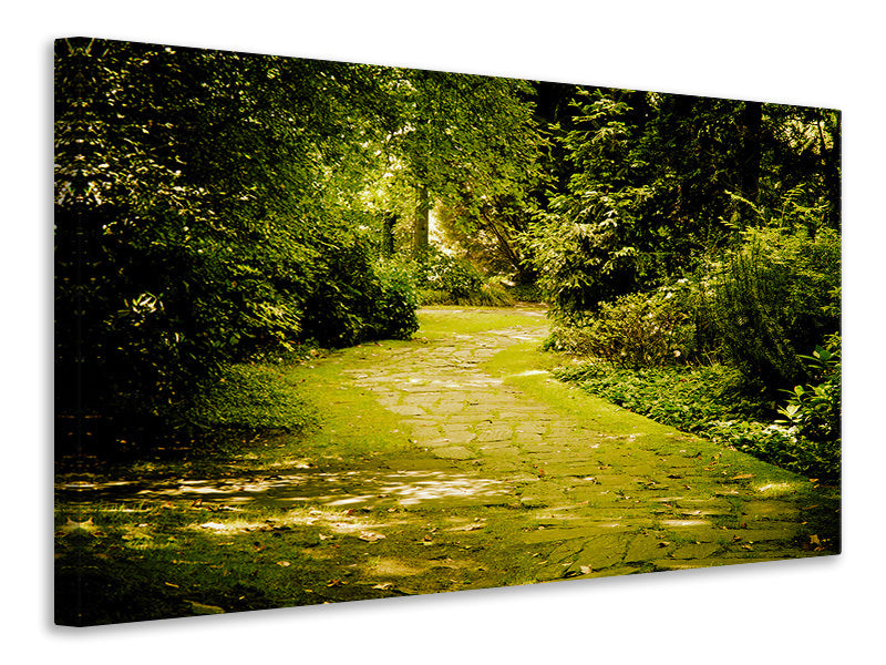 Canvas print Moss-Covered Path