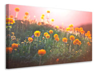 Canvas print The mountain Meadow