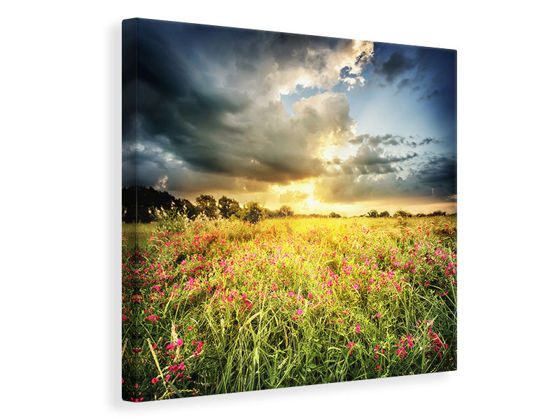 Canvas print Flowers Landscape