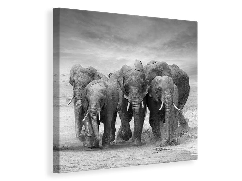 Canvas print The Elephants