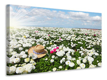 Load image into Gallery viewer, Canvas print Spring Flower Meadow
