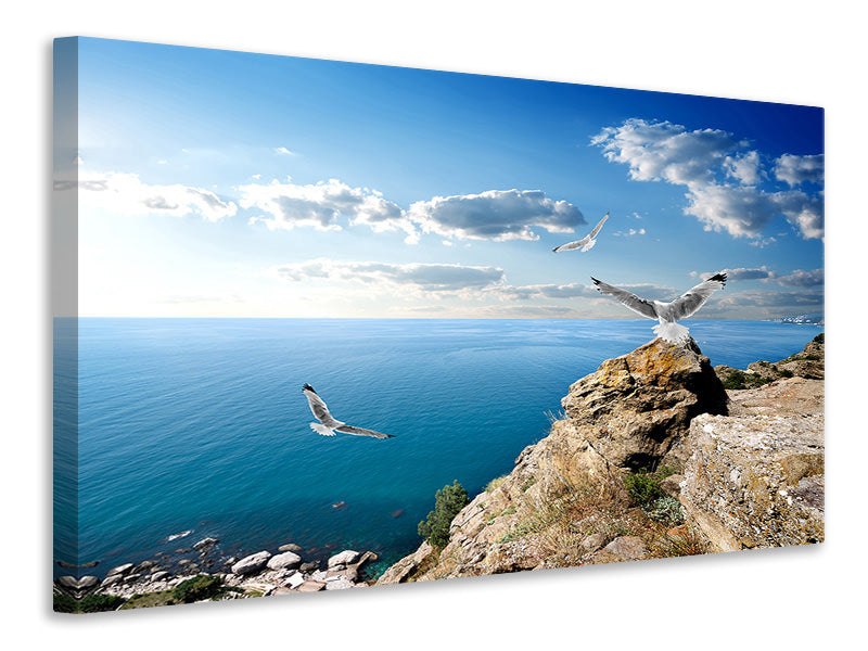 Canvas print The Seagulls And The Sea
