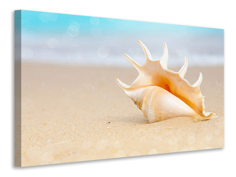 Canvas print The Shell On The Beach