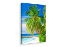 Load image into Gallery viewer, Canvas print The Palm
