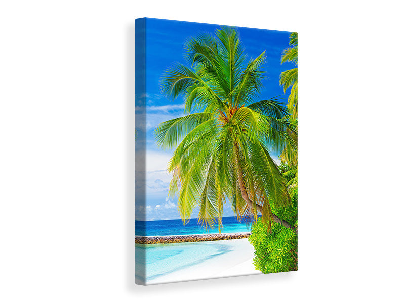 Canvas print The Palm