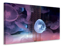 Load image into Gallery viewer, Canvas print The Beauty Of Jellyfish
