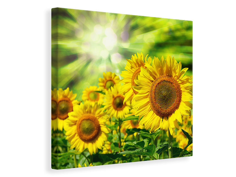 Canvas print The Sun And The Flowers