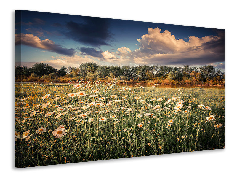 Canvas print The Ox On The River