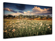 Canvas print The Ox On The River