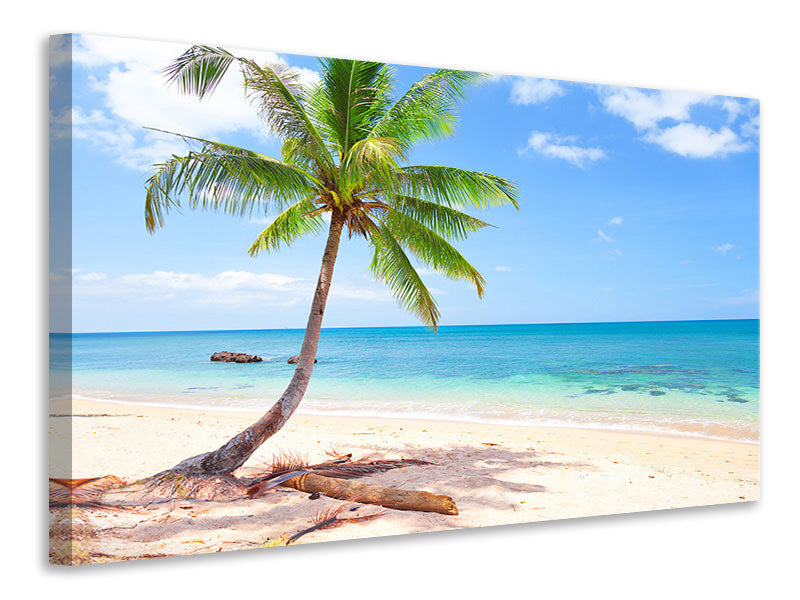 Canvas print The Own Island