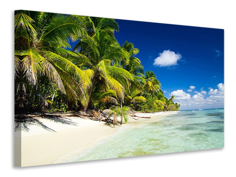 Canvas print The Deserted Island