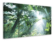 Canvas print Jungle Star