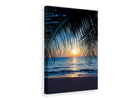 Canvas print Through The Palm