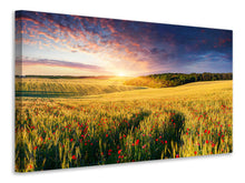 Load image into Gallery viewer, Canvas print A Flower Field At Sunrise
