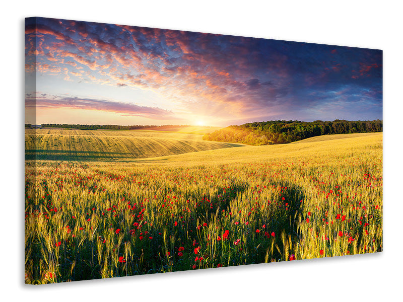Canvas print A Flower Field At Sunrise