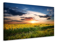 Load image into Gallery viewer, Canvas print A Field Of Sunflowers
