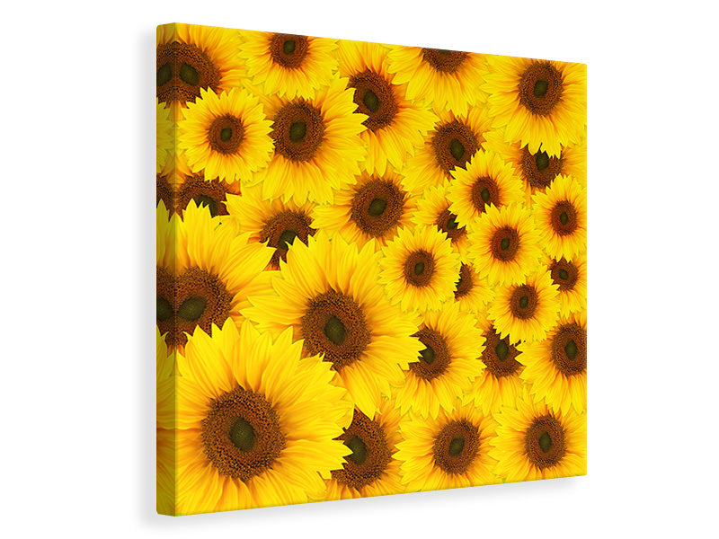 Canvas print A Bouquet Sunflower