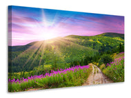 Canvas print A Summer Landscape At Sunrise