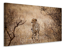 Load image into Gallery viewer, Canvas print Elegant Cheetah
