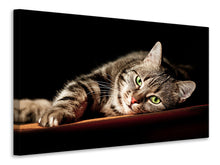 Load image into Gallery viewer, Canvas print Relaxed Cat
