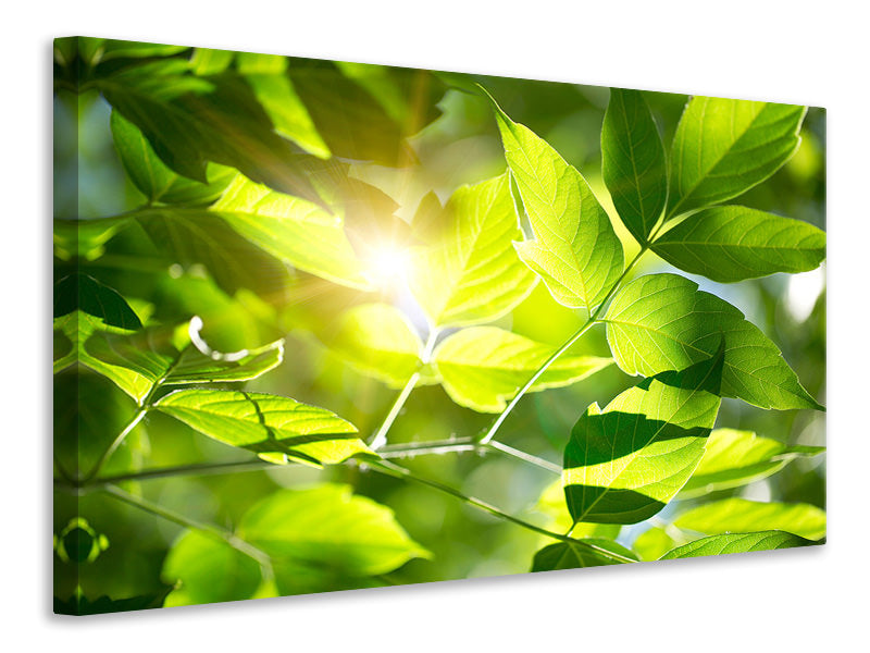 Canvas print Go Green