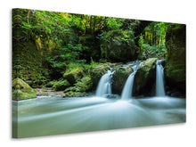 Load image into Gallery viewer, Canvas print Falling Water in the Wood

