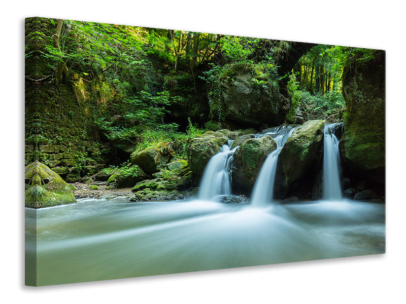 Canvas print Falling Water in the Wood