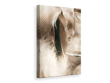Load image into Gallery viewer, Canvas print Feathers

