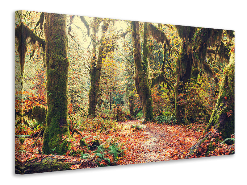 Canvas print Fairies Forest