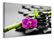 Canvas print Feng Shui Orchid