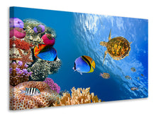 Load image into Gallery viewer, Canvas print Fish In the Water
