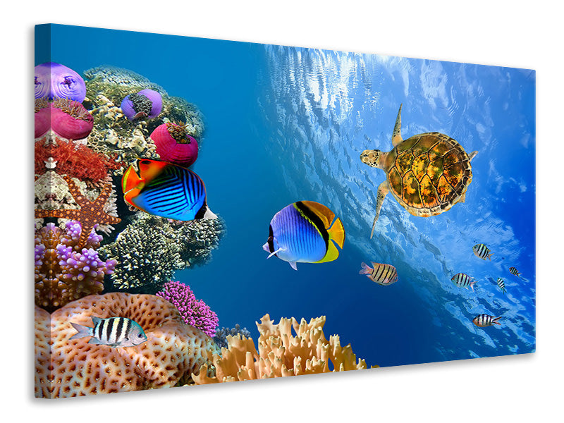 Canvas print Fish In the Water