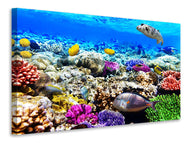 Canvas print Fish Aquarium