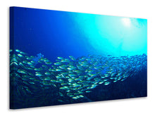 Load image into Gallery viewer, Canvas print Shoal Of Fish
