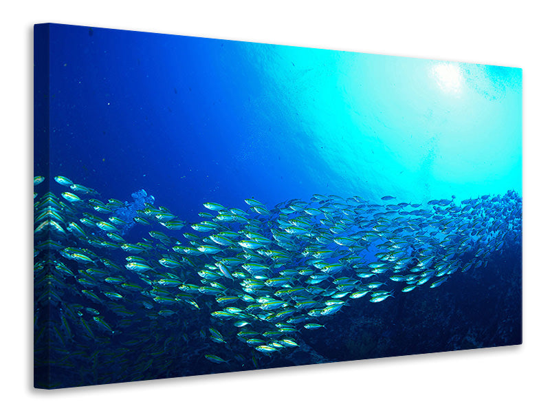 Canvas print Shoal Of Fish