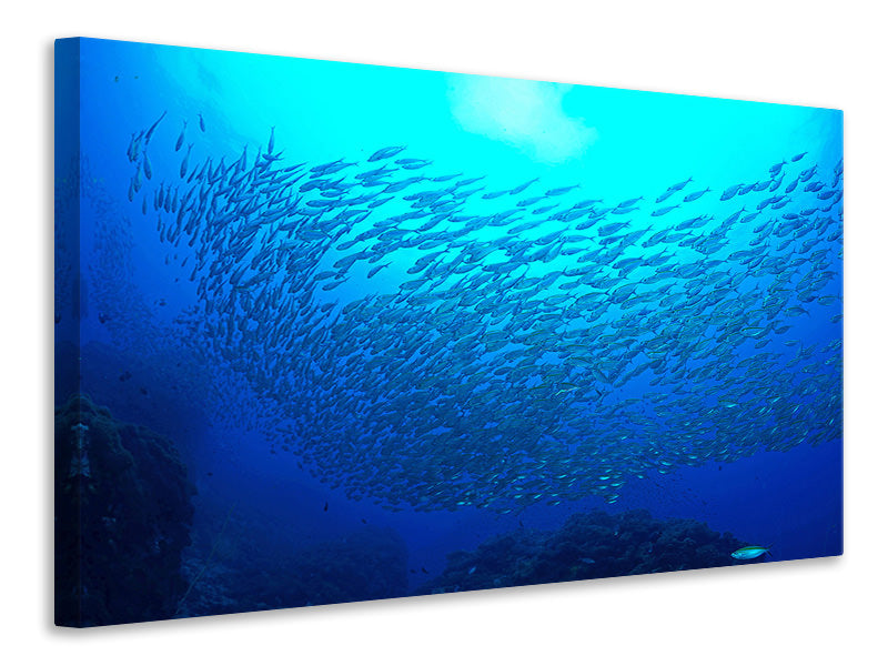 Canvas print Fish World