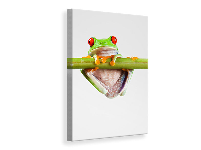 Canvas print Frog Acrobatics