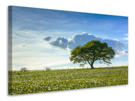 Canvas print Spring Tree